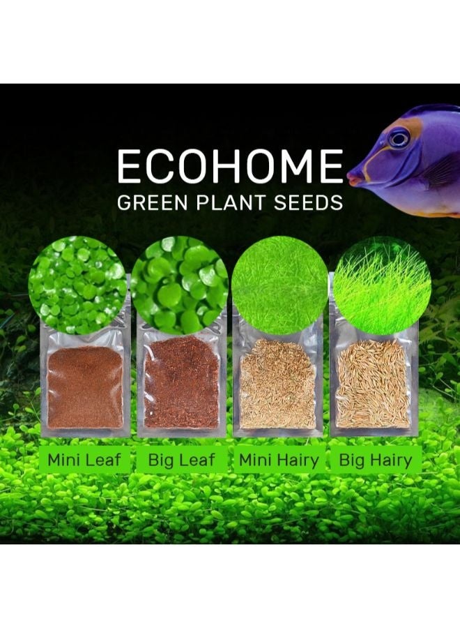 زي يانج بذور نباتات مائية لتزيين أحواض السمك والمناظر الطبيعية - 4 × 1000 قطعة - Image 2